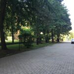 IMG_1949
