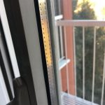 IMG_2593