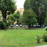 IMG_8831