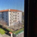 IMG_3184