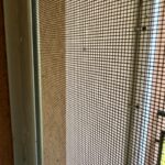 IMG_9096