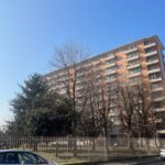 Cimabue 19 -